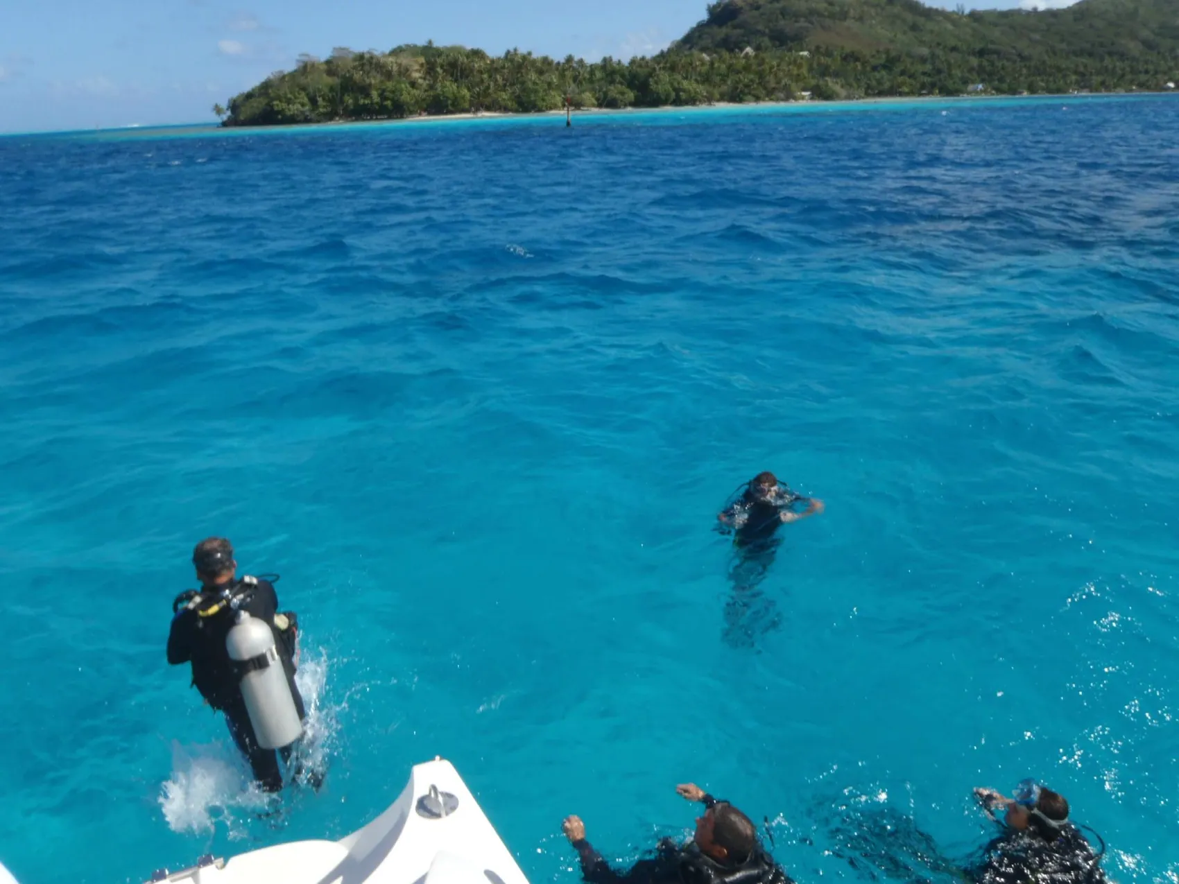 Plongée sous-marine dans un jardin de corail